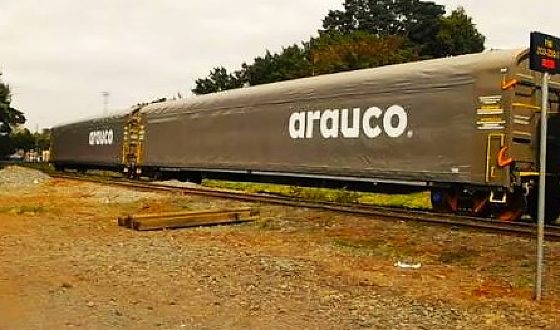 Randon entrega lote de 40 vag&otilde;es ferrovi&aacute;rios para a Arauco 