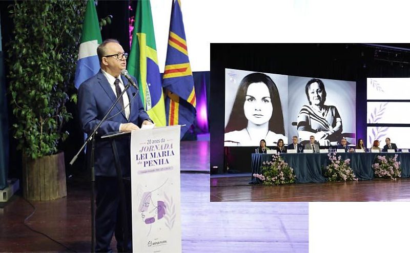 Pavan destacou pioneirismo de MS no tema
