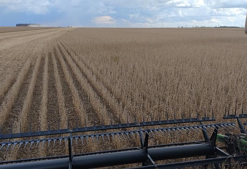 Biodiesel ganha espaço e abre novas oportunidades para produtores de soja em MS