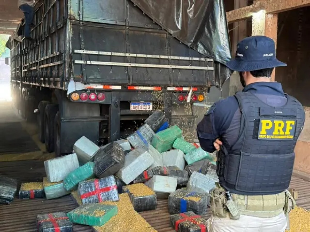 PRF apreende mais de 5 toneladas de maconha escondidas em carga de milho