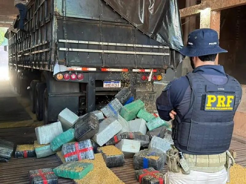 PRF apreende mais de 5 toneladas de maconha escondidas em carga de milho
