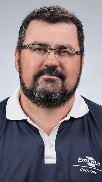 Jorge Henrique Chagas - Artigo