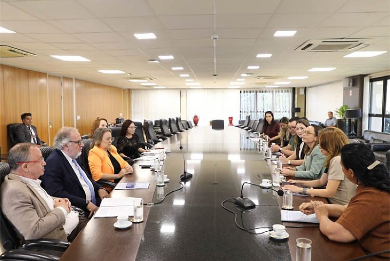 Relatório foi apresentado a Pavan no TJMS