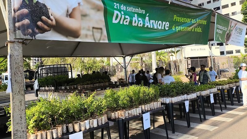 Campo Grande distribui 10 mil mudas frutíferas neste sábado