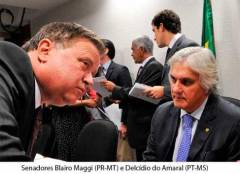 Campo Grande e Cuiabá sediam debates sobre gestão do Pantanal